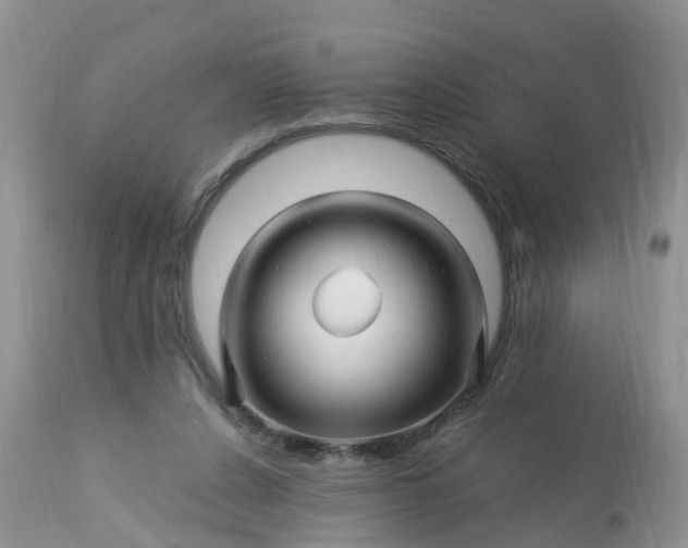 X0000113090256200909111034