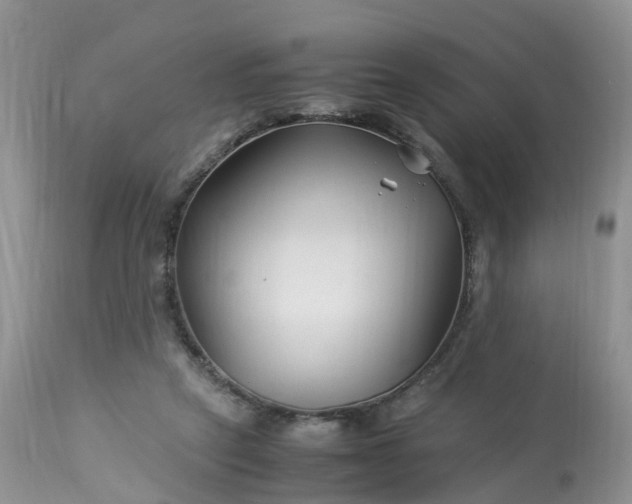 X0000113090257200909111034