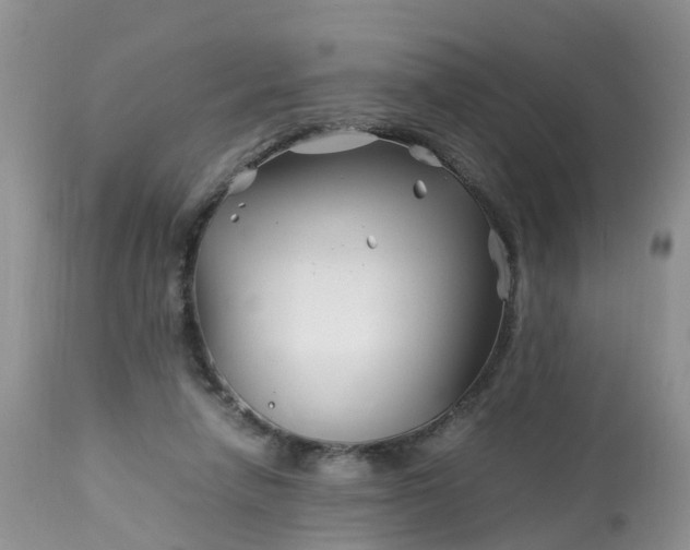 X0000113090258200909111034