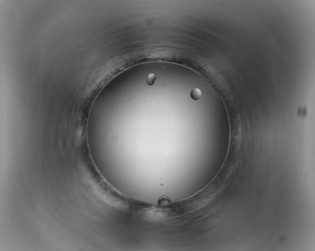 X0000113090261200909111034