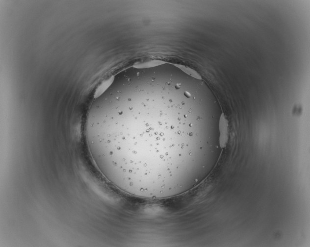 X0000113090262200909111034