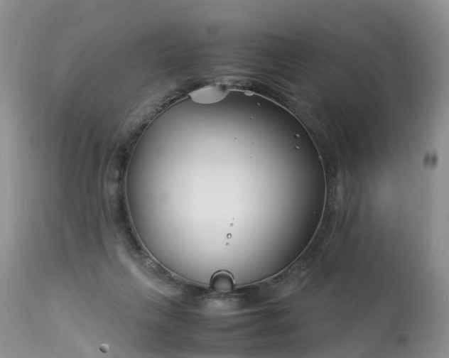 X0000113090263200909111034