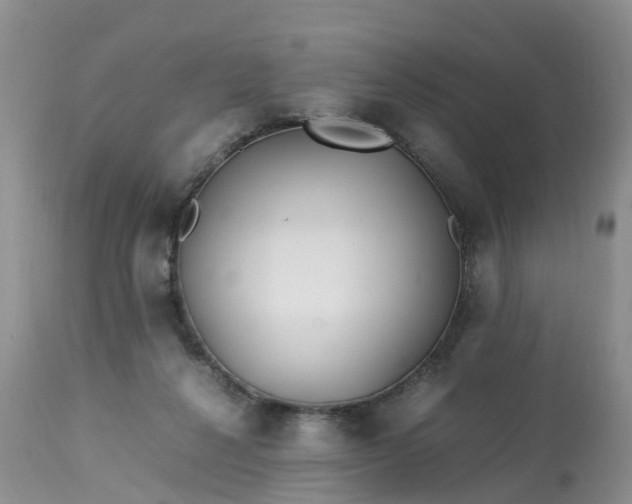 X0000113090264200909111034