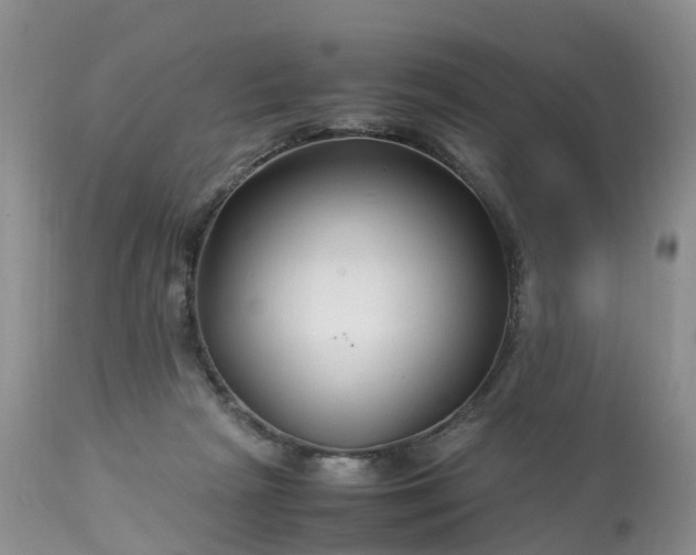 X0000113090265200909111034