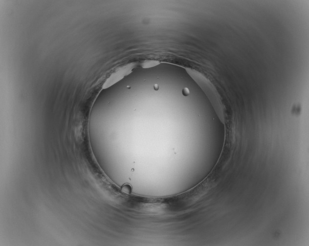 X0000113090266200909111034