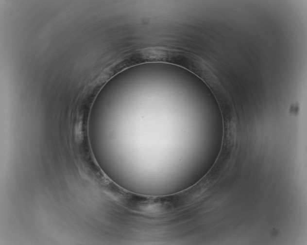 X0000113090267200909111034