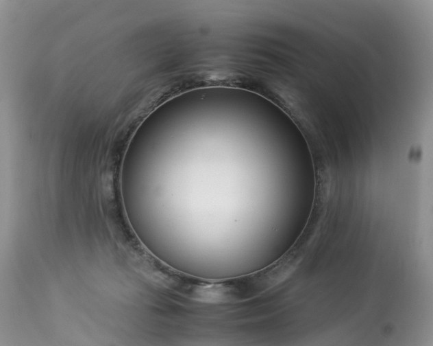 X0000113090269200909111034