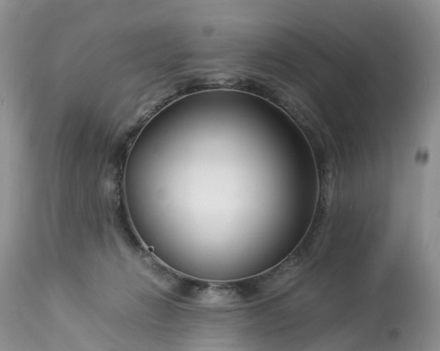 X0000113090270200909111034