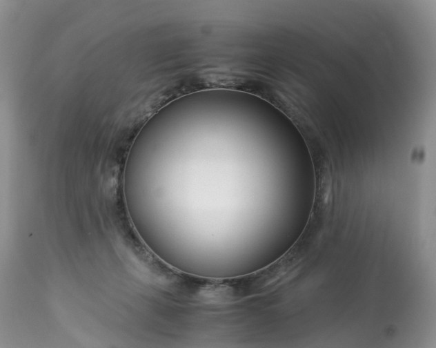 X0000113090271200909111035