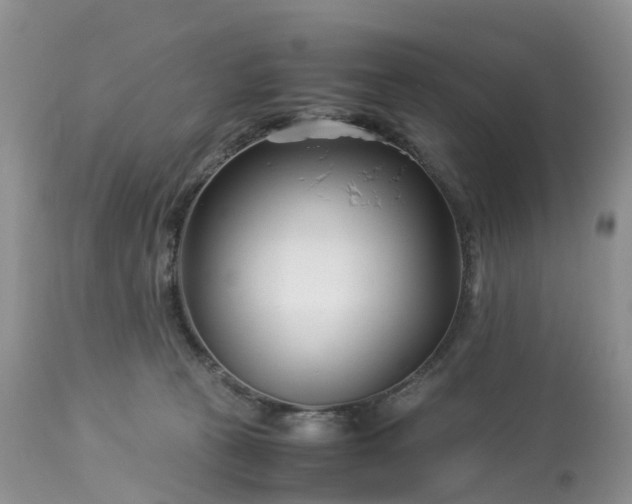 X0000113090273200909111035