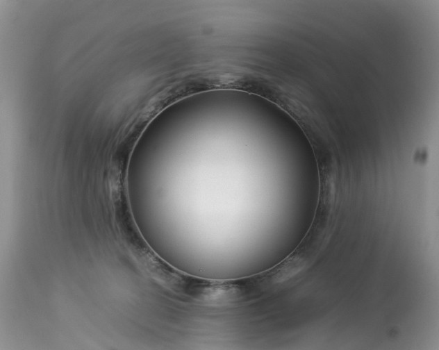 X0000113090274200909111035