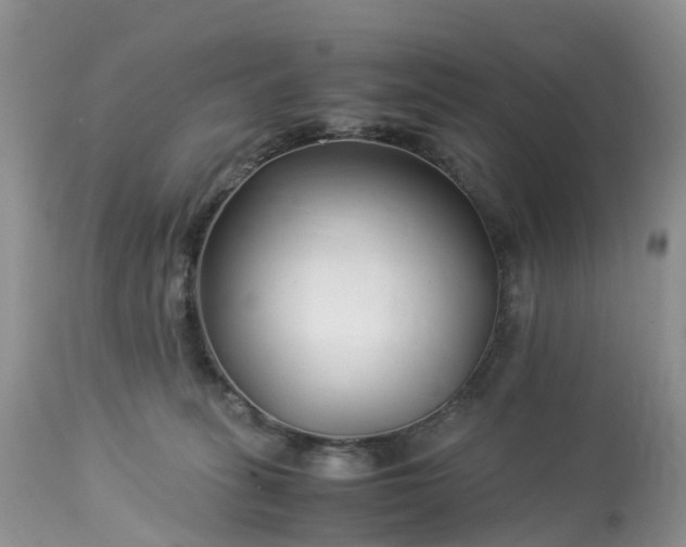 X0000113090275200909111035
