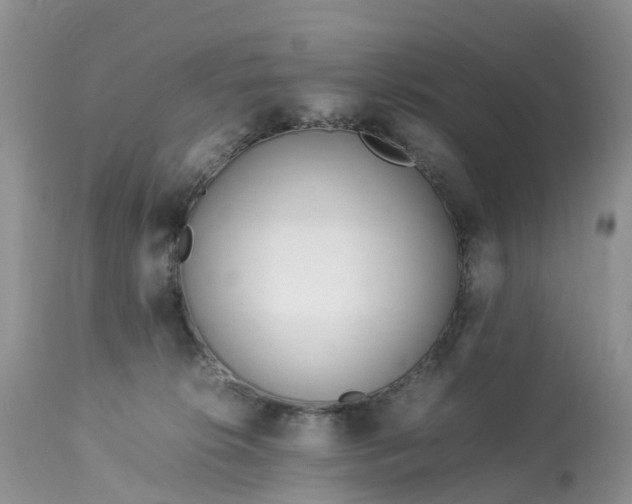 X0000113090276200909111035