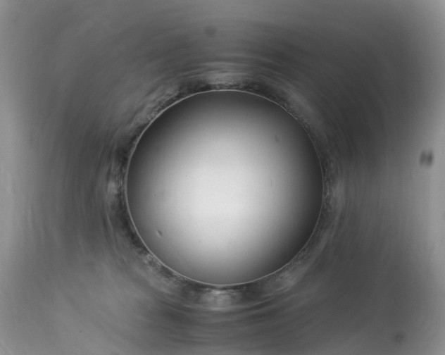 X0000113090277200909111035