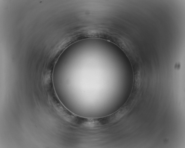 X0000113090278200909111035