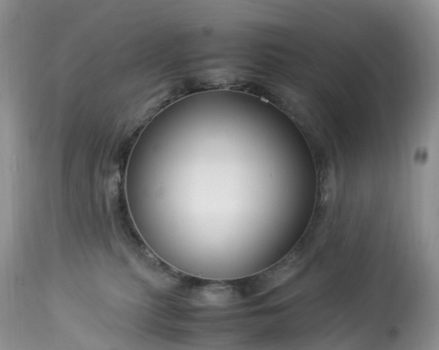X0000113090279200909111035
