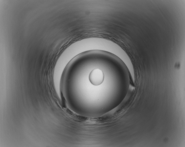 X0000113090280200909111035