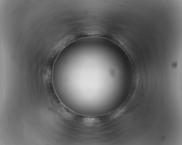 X0000113090281200909111035