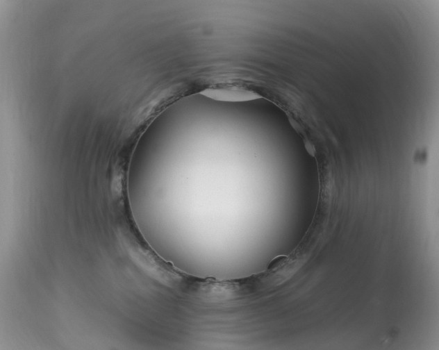 X0000113090282200909111035