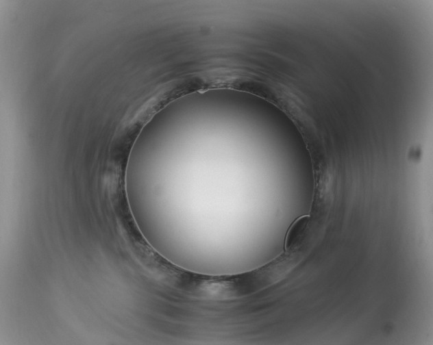 X0000113090283200909111035