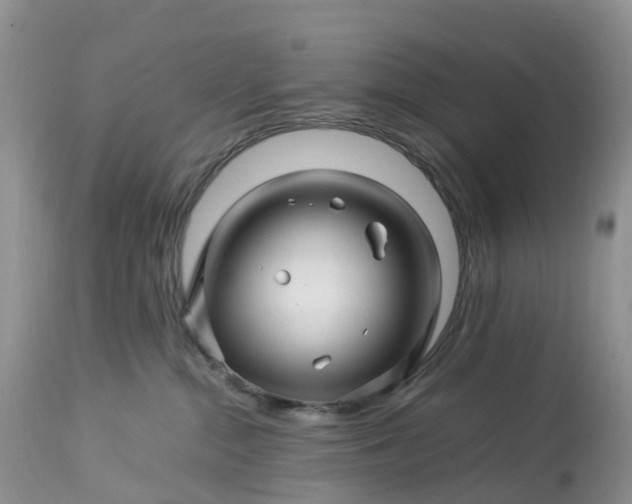 X0000113090284200909111035