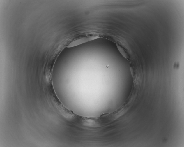 X0000113090285200909111035