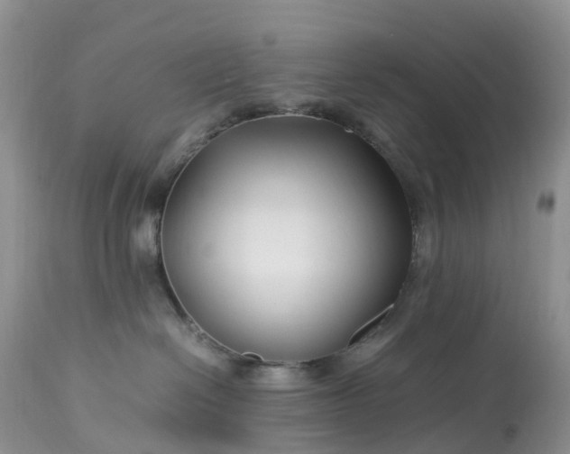 X0000113090286200909111035