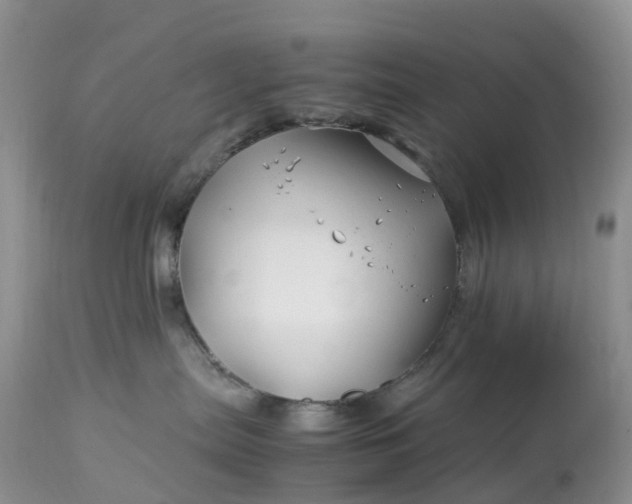X0000113090287200909111035