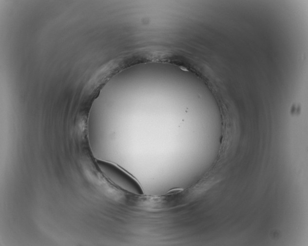 X0000113090288200909111035