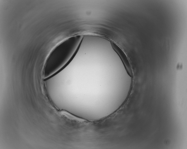 X0000113090289200909111034