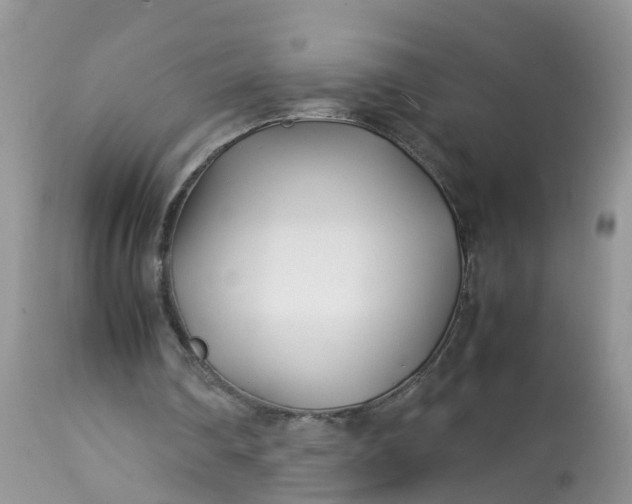 X0000113090290200909111034