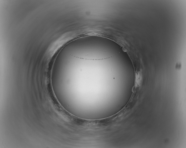 X0000113090291200909111034