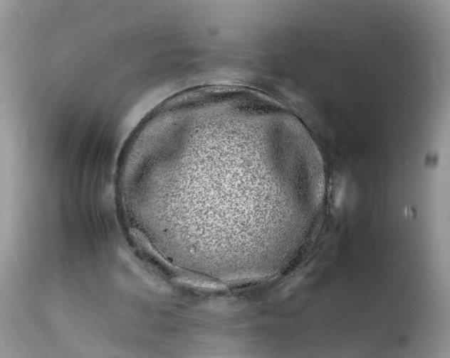 X0000113090292200909111034