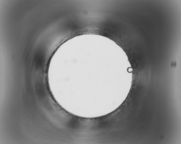 X0000113090293200909111034