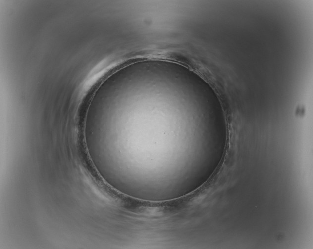 X0000113090295200909111034
