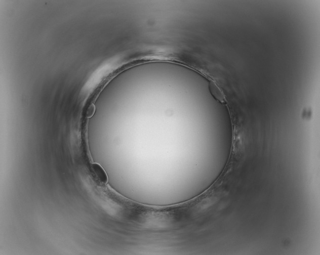 X0000113090296200909111034