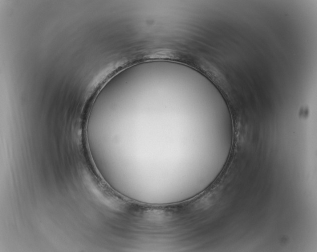 X0000113090298200909111034