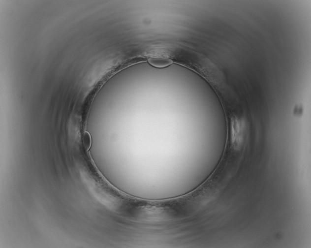X0000113090300200909111034