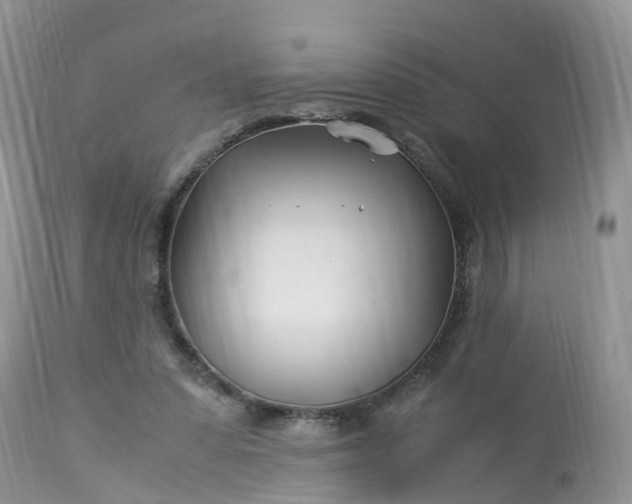 X0000113090303200909111034