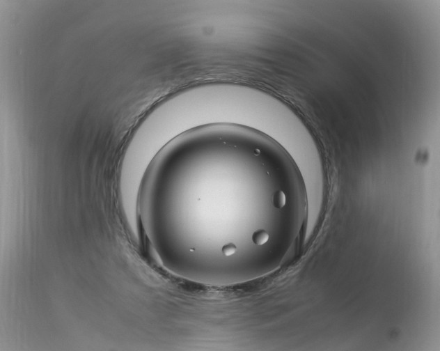 X0000113090305200909111034
