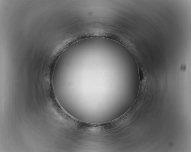 X0000113090306200909111034