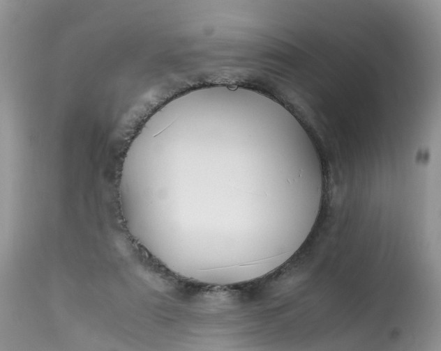 X0000113090307200909111034