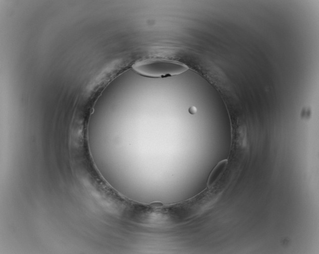 X0000113090308200909111034