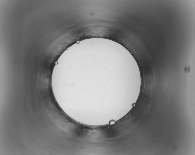X0000113090309200909111034