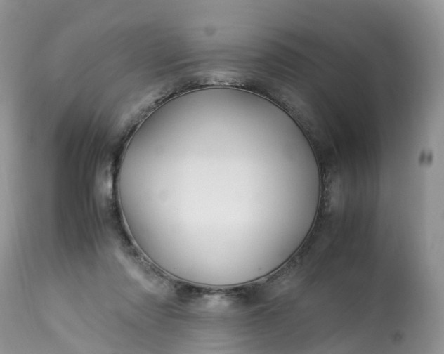 X0000113090310200909111034