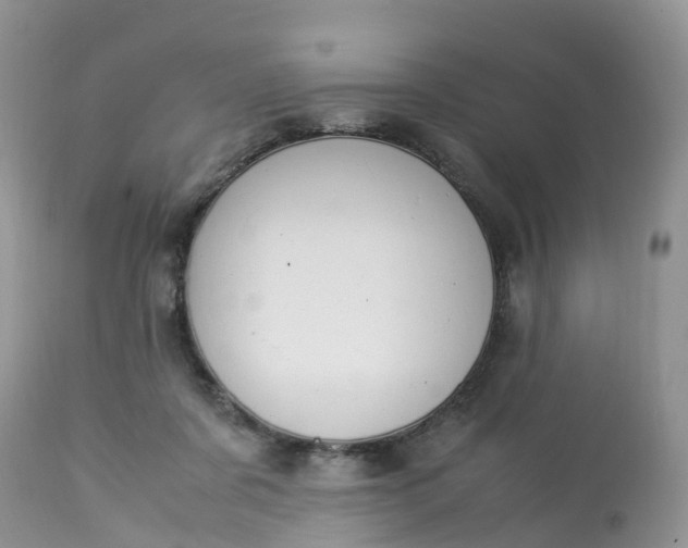 X0000113090311200909111034
