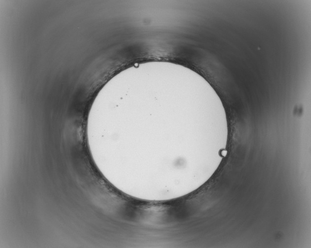 X0000113090313200909111034