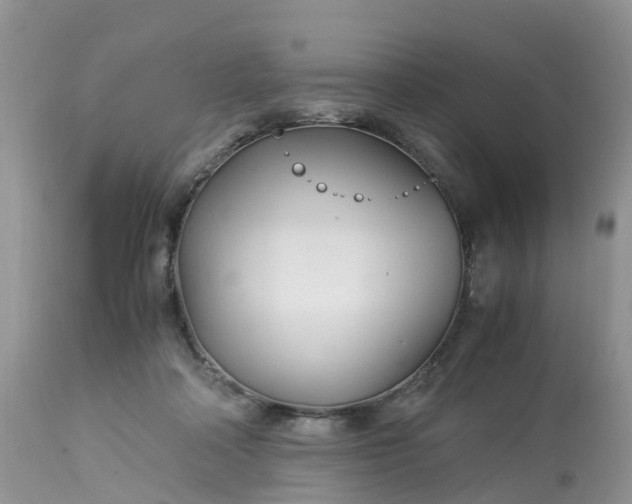 X0000113090314200909111034