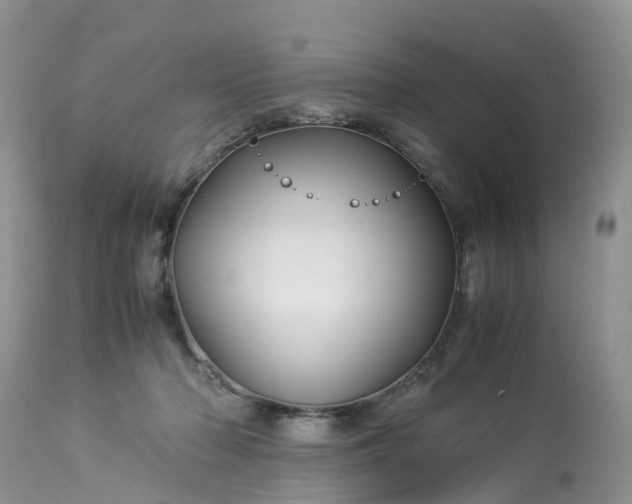 X0000113090318200909111034
