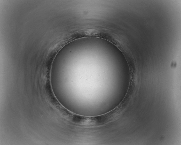 X0000113090319200909111034
